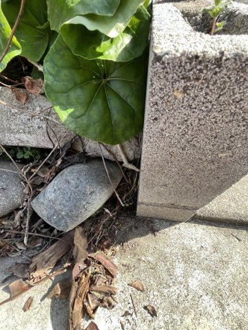 土地　香取町3丁目の外観