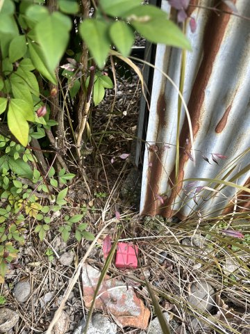 土地　香取町3丁目の周辺