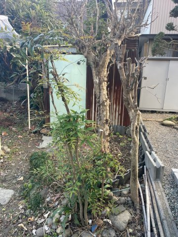 土地　香取町3丁目の外観