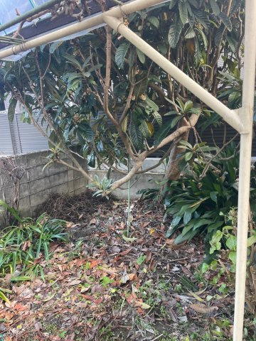 土地　香取町3丁目の外観