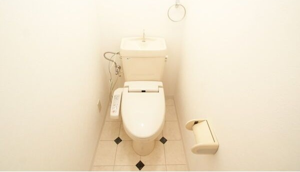 ドエルKM IIのトイレ