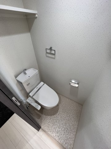 大阪市城東区中央２丁目の賃貸マンションのトイレ