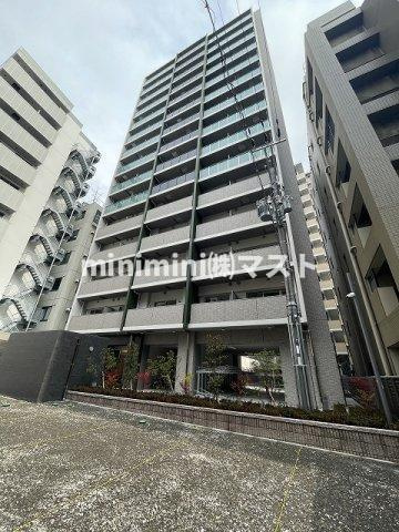 Cherry Blossom 五条通