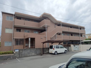 アムールカセイの画像