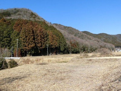  山南町畑内