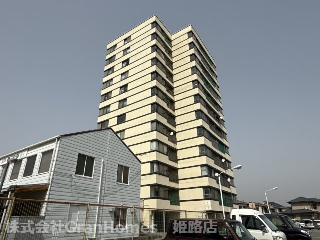 シャルム・ヒメゴー