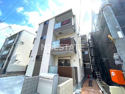 【外観】 | F asecia arvensis