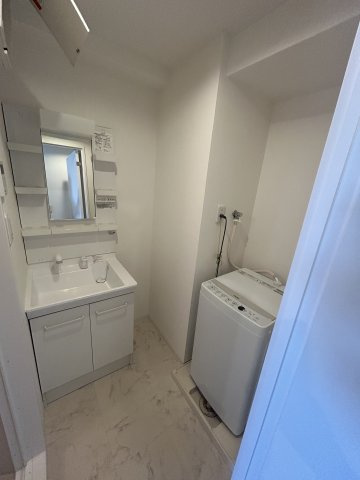 グランパシフィック清水丘の独立洗面台