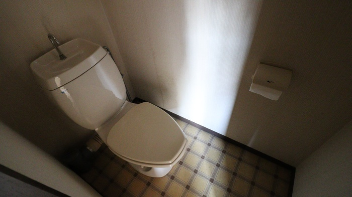 ジュネスヨシカワのトイレ