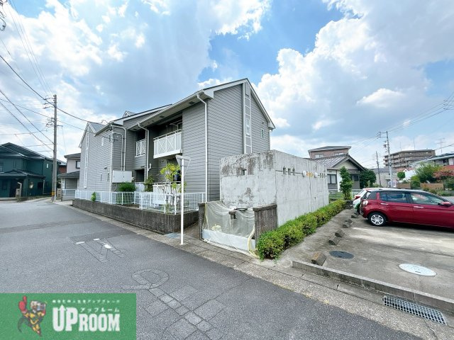 シングルの外観