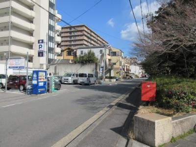 PIERIS GARDEN（ピエリス・ガーデン）の周辺|前面道路