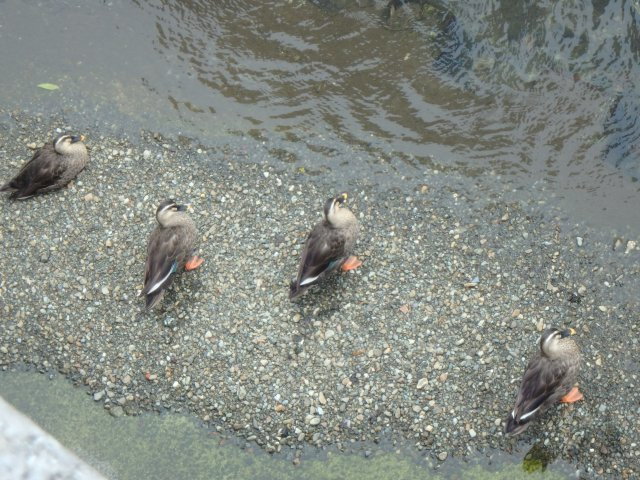 スマイル上高田の周辺|警戒させてしまいました。。すみません。