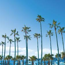 海と山と。自然の中で暮らす家in逗子久木の周辺|リビエラ逗子マリーナまで車で10分程♪