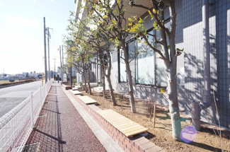 【その他共用部分】 | 東側植栽内にあるベンチです