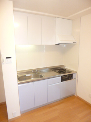 ※別室参考写真　2口ガスシステムキッチン。