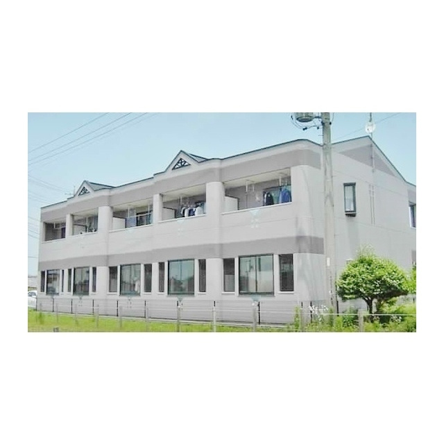 マーガレットスマイル