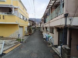 【前面道路含む現地写真】