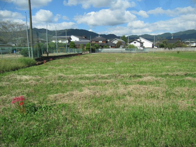 津山市一宮　売地376坪の外観