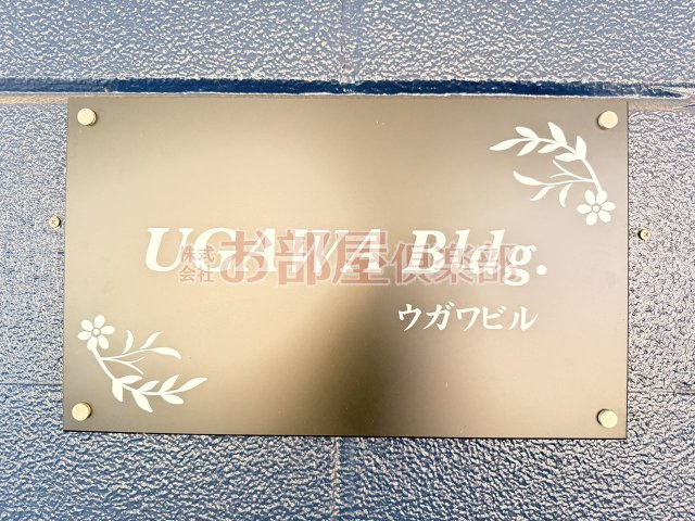 ウガワビルのその他