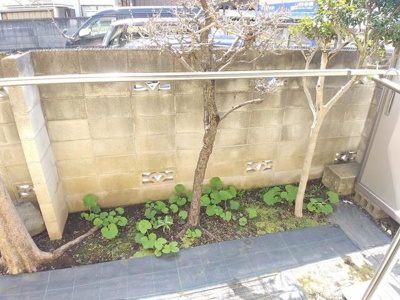 【展望】 | ＳＡＫＵＲＡ