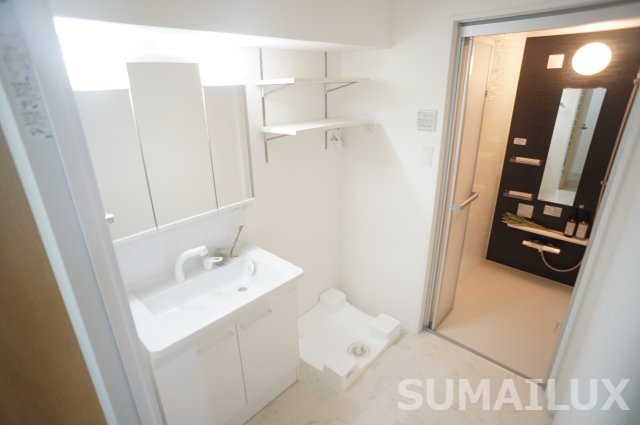 熊本市北区楡木１丁目の賃貸マンションの独立洗面台