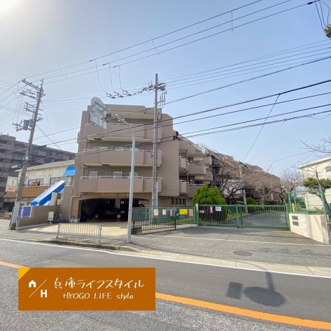 サンエクセル江井ヶ島の外観|外観