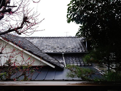 【展望】 | ビレッジイン和泉