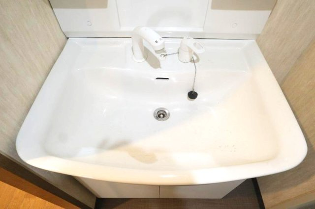 アビタシオン橋本IIの独立洗面台