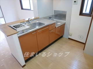 広島市安佐北区深川２丁目のアパートのキッチン|食洗機対応・収納棚・窓あり