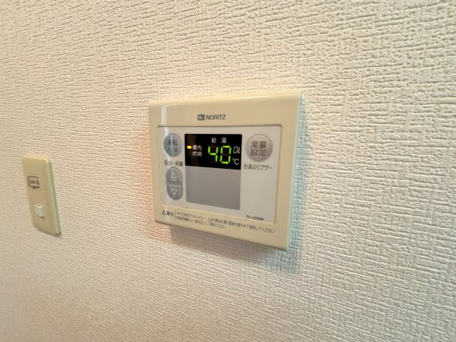 マンハイムⅡのその他