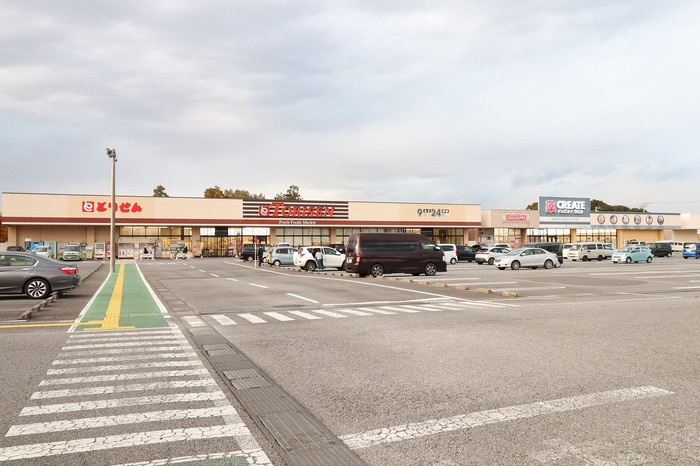 セジュールAIの周辺|とりせん木田余店 徒歩12分（993m）