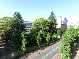 【展望】