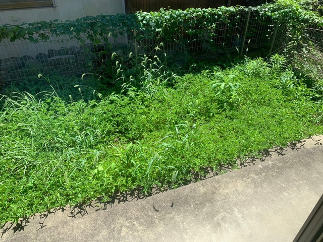 プリオール・マ・メゾンの庭|※室内画像は別号室のもの