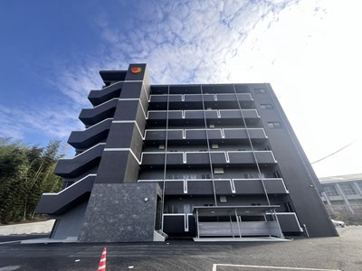 菊池郡菊陽町武蔵ヶ丘北２丁目の賃貸マンションのエントランス
