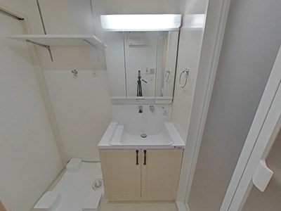 菊池郡菊陽町武蔵ヶ丘北２丁目の賃貸マンションの独立洗面台