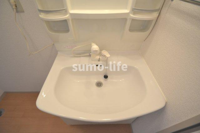 セジュールむこのそう北の洗面所