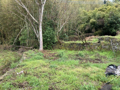 【外観】 | いちき串木野市生福土地