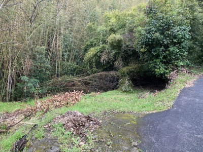 【外観】 | いちき串木野市生福土地