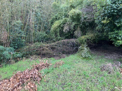 【外観】 | いちき串木野市生福土地