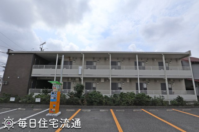 【展望】 | サフラン