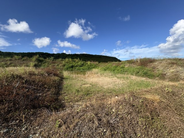 〇読谷村大木　売土地の外観