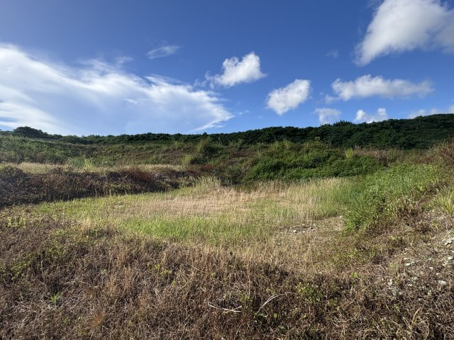 〇読谷村大木　売土地の外観