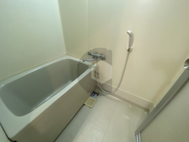 フローリッシュ北田の浴室