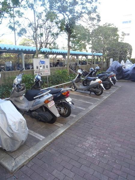エバーグリーン12号棟の駐車場|バイク置場あります！