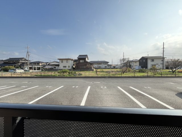 サンフラワーの展望