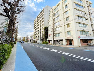 【その他】 | メイゾンアサヒ | 前面道路