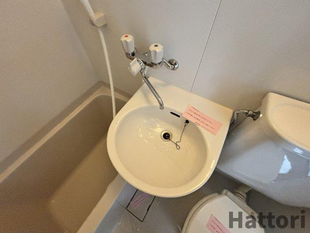 ロイヤルコート上池田の洗面所