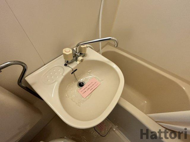 ロイヤルコート上池田の洗面所