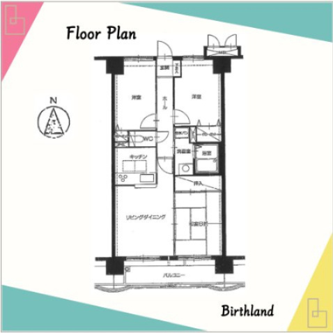ネオハイツ並木Ⅱ　8階