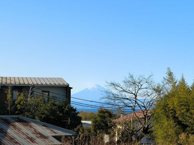海まで8分！自然に囲まれた80坪超の海見え土地の展望